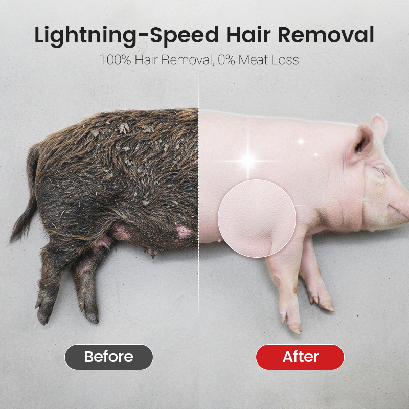 🧰 Tarcza skrobakowa do usuwania szczeciny ułatwiająca pracę