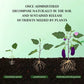 🔥2025 Hot Sale 54%OFF 🌞Home Gardening Universal Slow-Release Tablet Organic Fertilizer