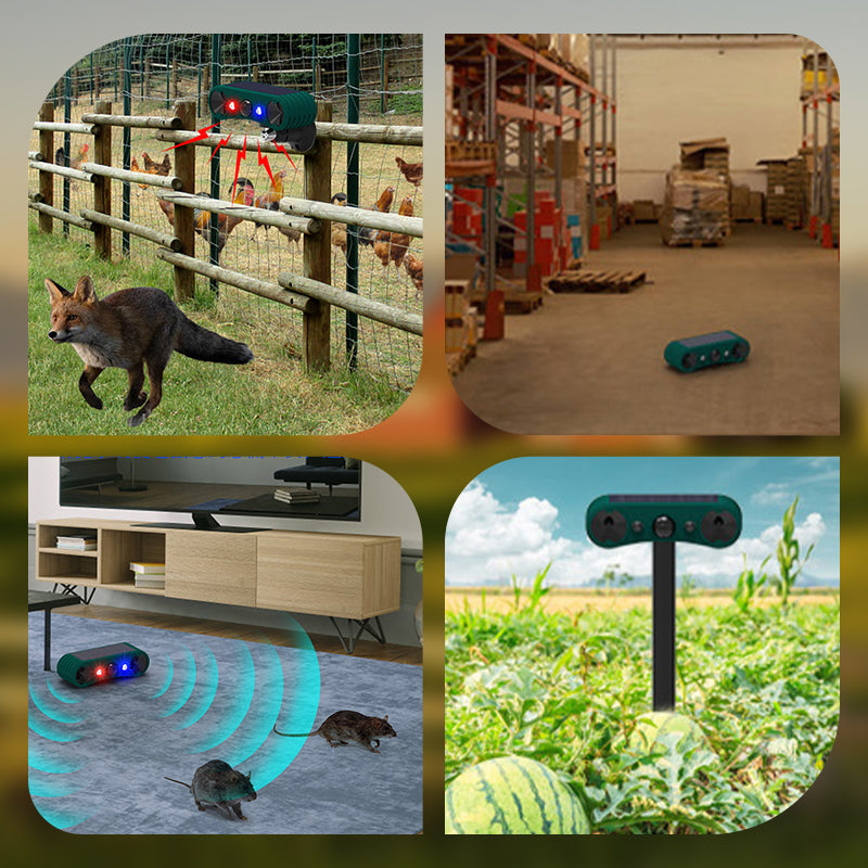 🔥Ostatni dzień promocji🔥Sensor ruchu solarny do odstraszania zwierząt na zewnątrz