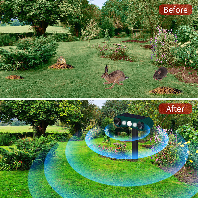 🔥Ostatni dzień promocji🔥Sensor ruchu solarny do odstraszania zwierząt na zewnątrz