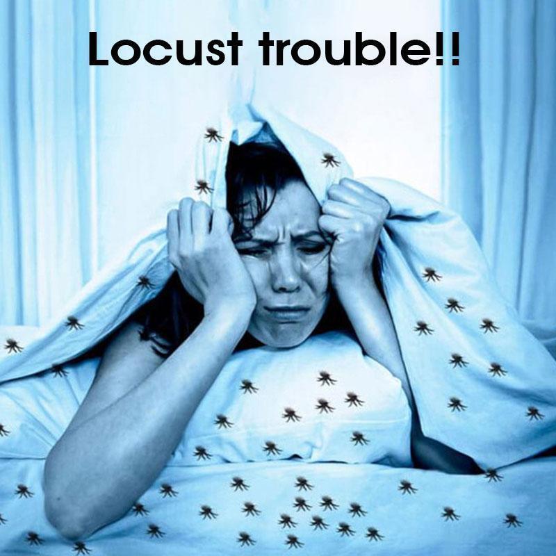 Zabójca roztoczy kurzu