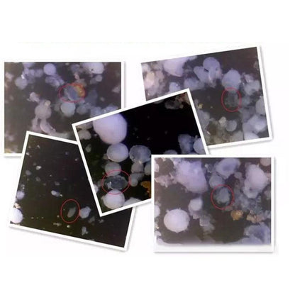 Zabójca roztoczy kurzu