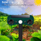 🔥Ostatni dzień promocji🔥Sensor ruchu solarny do odstraszania zwierząt na zewnątrz