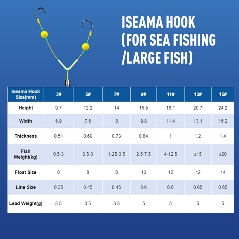 🔥Kup 2 i otrzymaj 3 za darmo 💦 Podwójny zestaw haków z odwracalną konstrukcją🐟