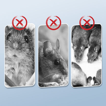 💥Wielokrotnego użytku pułapka na szczury z wysoce czułym mechanizmem wyzwalającym