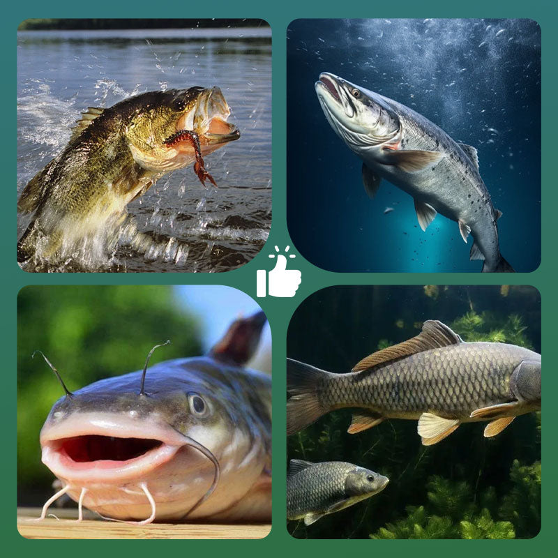 🥳 Wielka wyprzedaż 2026 🥳💞 Sprzedaliśmy już ponad 50 000 sztuk! 🎣🌊 50% zniżki! Haczyk z pływakiem o dużej wyporności – utrzymuje się na idealnej głębokości, a jaskrawe kolory jeszcze bardziej przyciągają ryby. Rewolucyjne rozwiązanie dla wędkarzy! 🐟✨