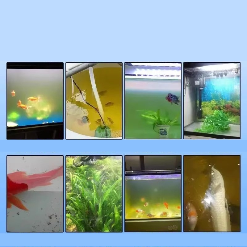 ⏳Ograniczona czasowo zniżka 50%⏰Tabletki do oczyszczania wody w akwarium🐟
