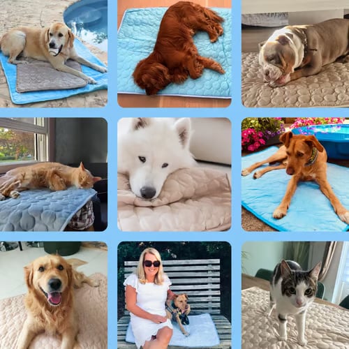 ❄️🐾Mata chłodząca dla zwierząt (4-krotnie silniejszy efekt chłodzenia)🐶 Niezbędnik na lato dla każdego właściciela zwierzęcia