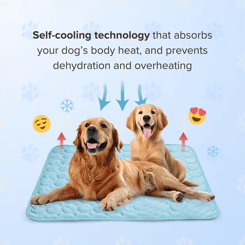 ❄️🐾Mata chłodząca dla zwierząt (4-krotnie silniejszy efekt chłodzenia)🐶 Niezbędnik na lato dla każdego właściciela zwierzęcia
