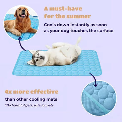 ❄️🐾Mata chłodząca dla zwierząt (4-krotnie silniejszy efekt chłodzenia)🐶 Niezbędnik na lato dla każdego właściciela zwierzęcia