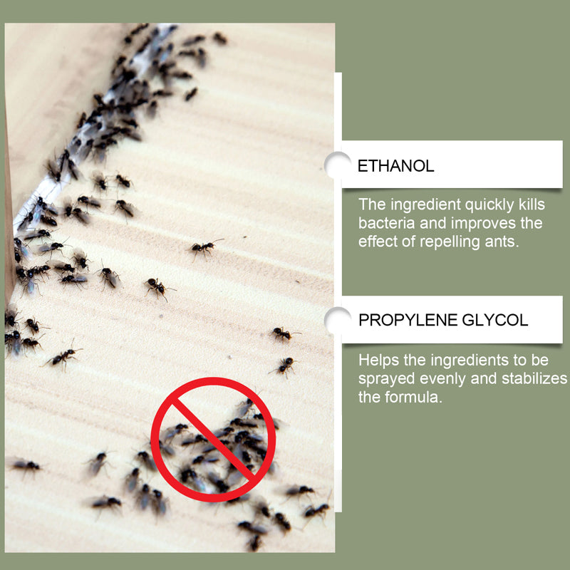 🐜🚫 Skuteczny, wielofunkcyjny spray odstraszający termity – szybko działająca formuła niszczy ścieżki termitów i zapobiega ponownemu pojawieniu się szkodników. Trwała bariera ochronna – chroń swój dom przed szkodnikami niszczącymi drewno! 🏠✨