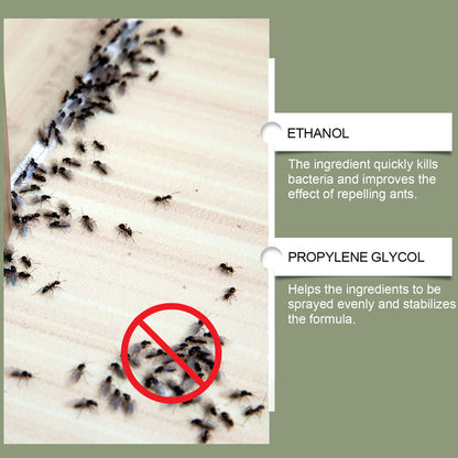 🐜🚫 Skuteczny, wielofunkcyjny spray odstraszający termity – szybko działająca formuła niszczy ścieżki termitów i zapobiega ponownemu pojawieniu się szkodników. Trwała bariera ochronna – chroń swój dom przed szkodnikami niszczącymi drewno! 🏠✨