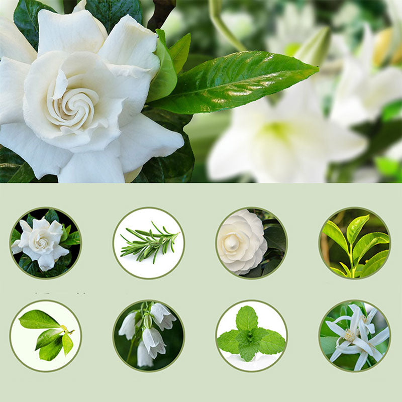🌿🔥 50% taniej! Automatyczny dyfuzor aromaterapeutyczny – ultradźwiękowa mgiełka, regulowane ustawienia, automatyczne wyłączanie i cicha praca – idealny do domu i biura ✨